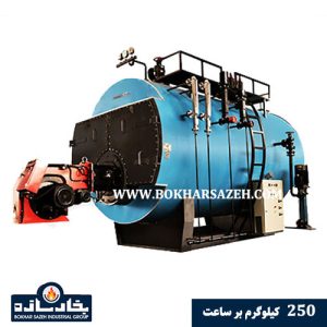 دیگ بخار 250 کیلوگرم